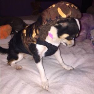 ❤️Camouflage pet hooded jacket